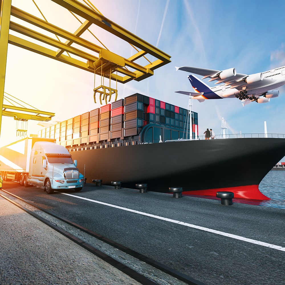 What are the Transportation Types in International Transportation?